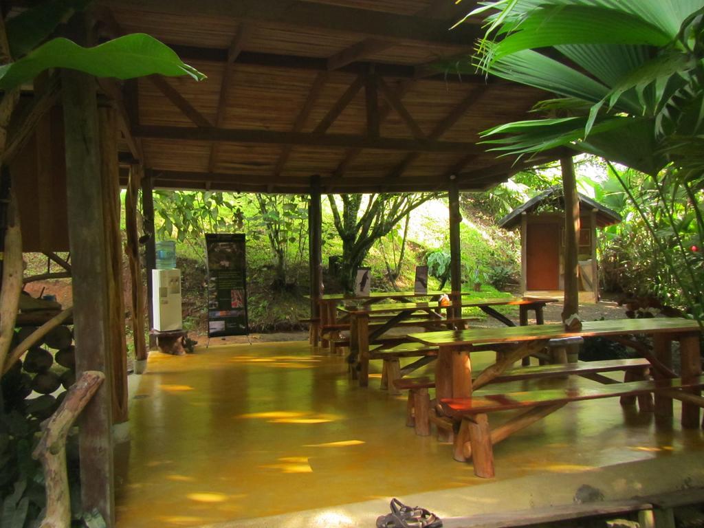 Hôtel El Chontal à Rincón Extérieur photo