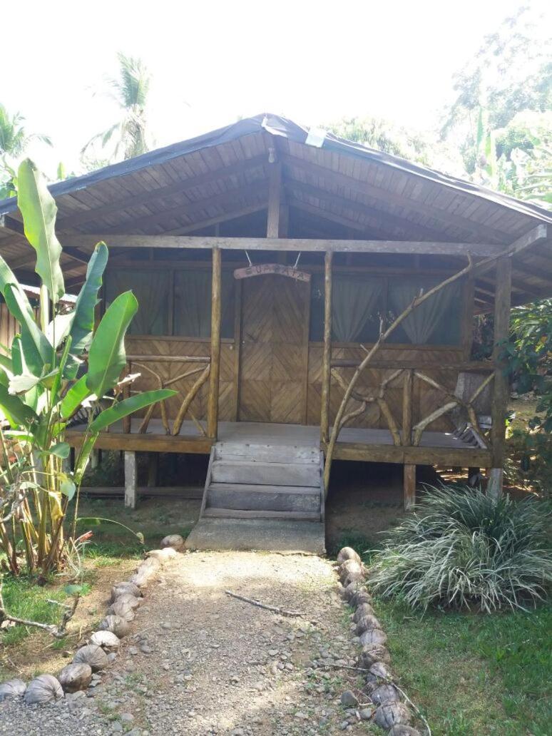 Hôtel El Chontal à Rincón Extérieur photo