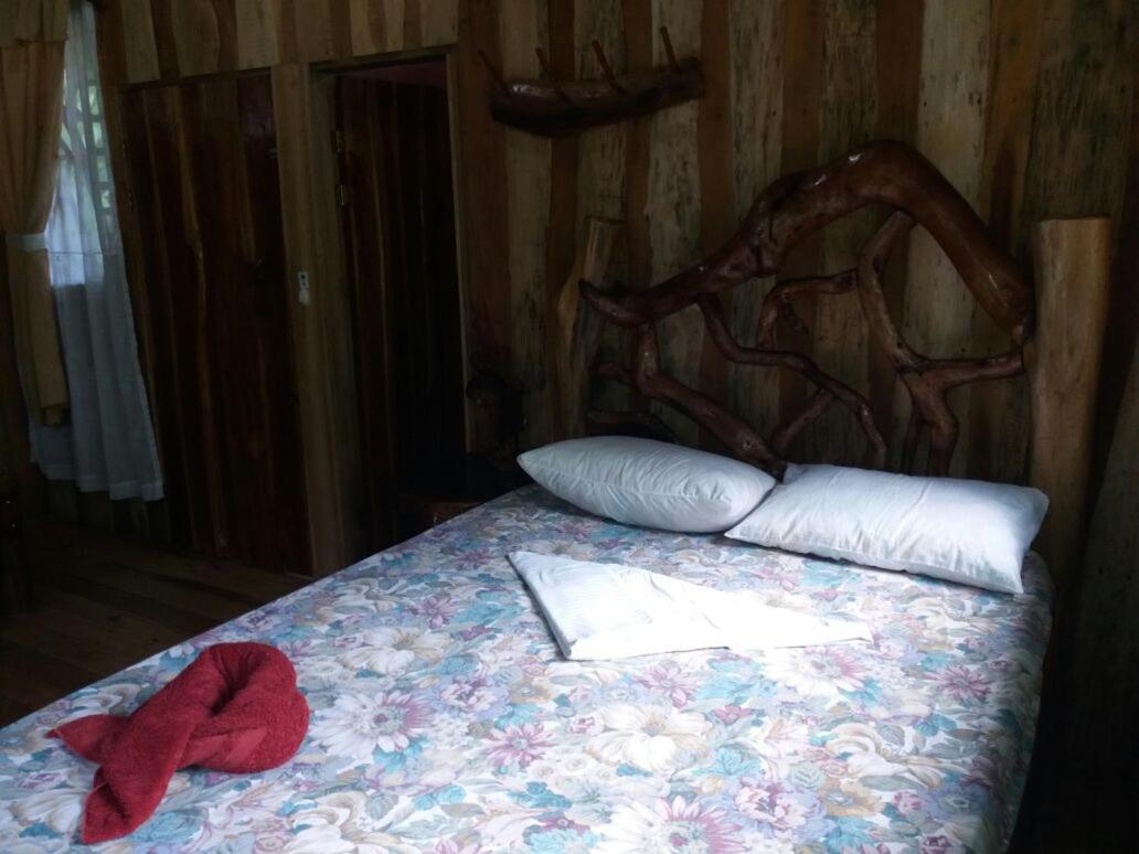 Hôtel El Chontal à Rincón Extérieur photo